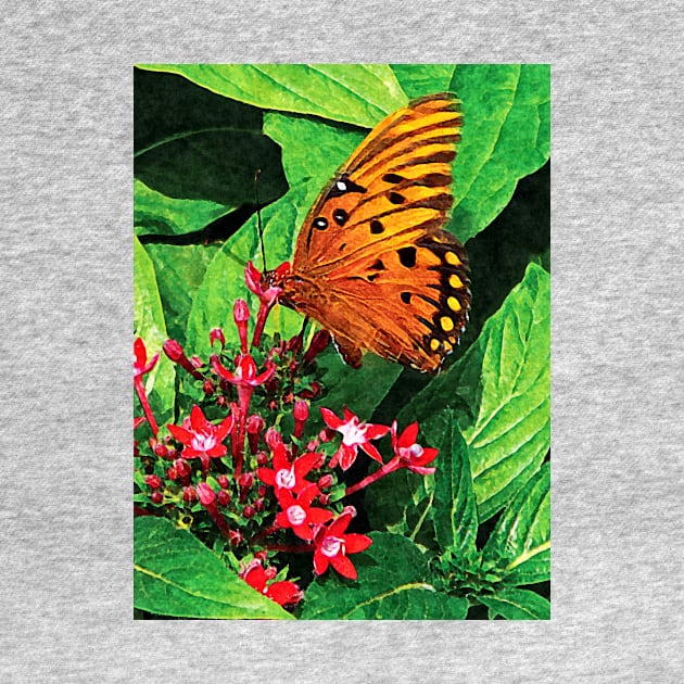 Butterflies - Orange Butterfly on Kalanchoe by SusanSavad